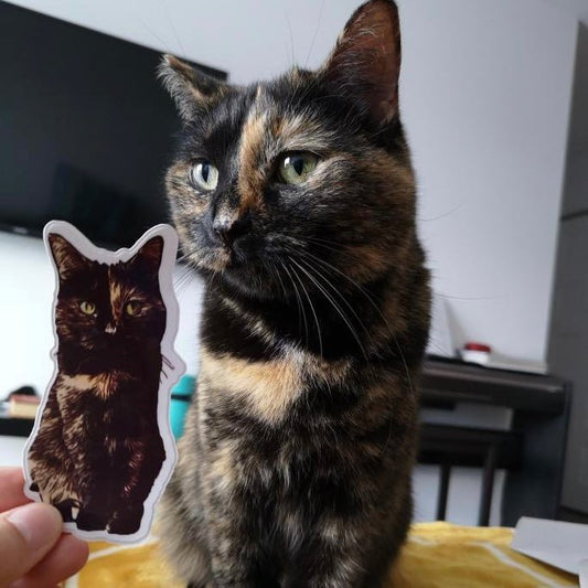 Autocollants de couleurs personnalisés - Zazou Photo Lab